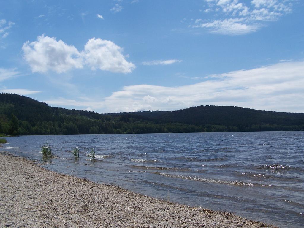 Apartment Lipno Lipno nad Vltavou Zewnętrze zdjęcie